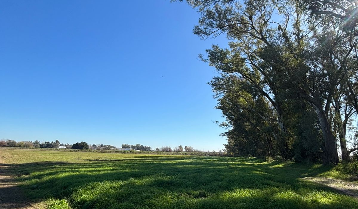 Luján, Buenos Aires, ,Campos / Fracciones,En Venta,1390