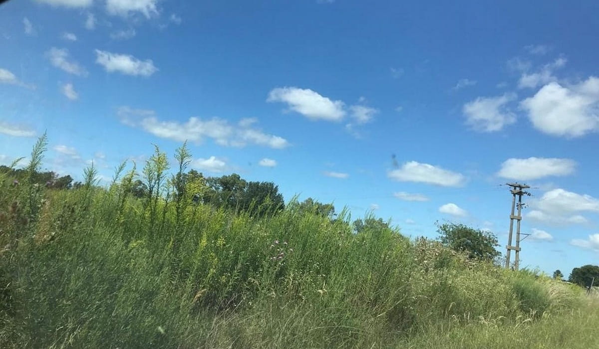 Luján, Buenos Aires, ,Campos / Fracciones,En Venta,1391