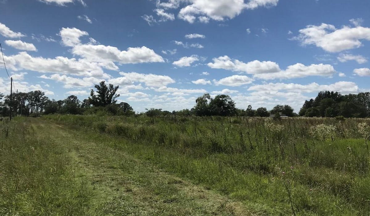 Luján, Buenos Aires, ,Campos / Fracciones,En Venta,1391
