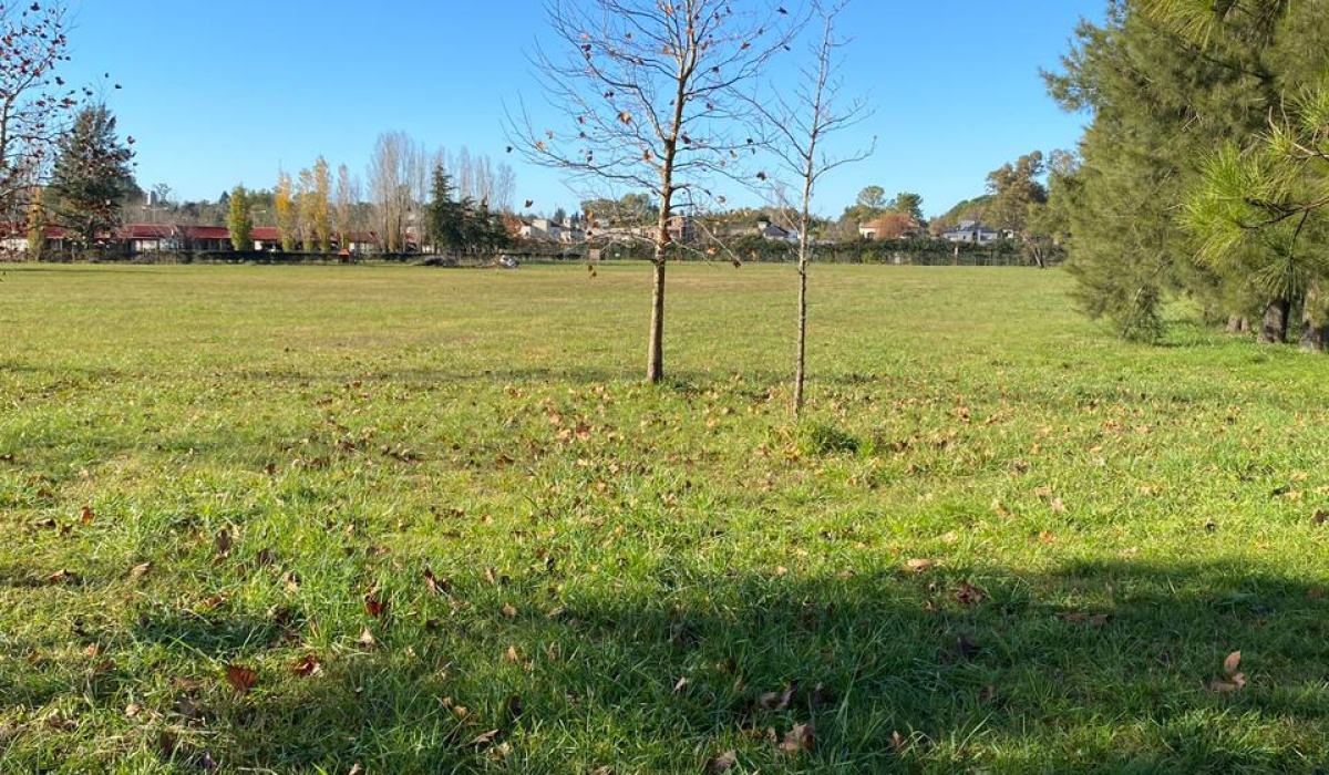 Luján, Buenos Aires, ,Campos / Fracciones,En Venta,1493