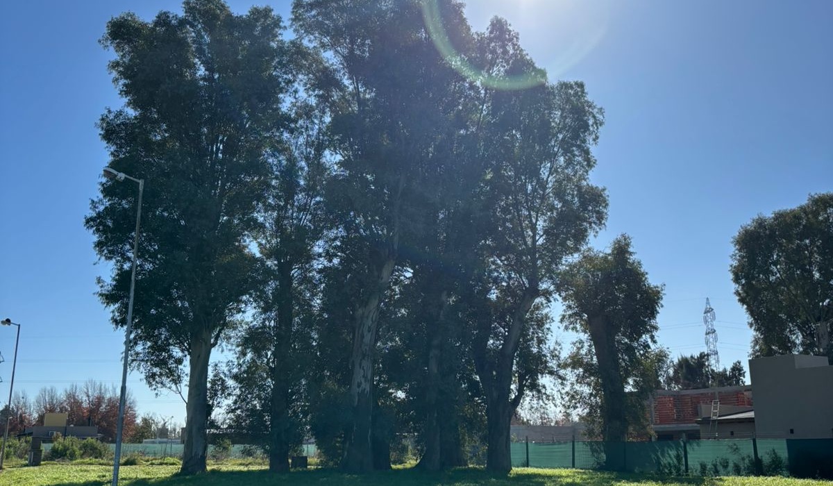 Luján, Buenos Aires, ,Lote,En Venta,1494