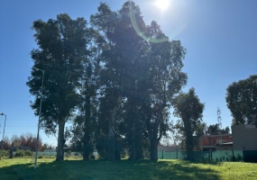 Luján, Buenos Aires, ,Lote,En Venta,1494