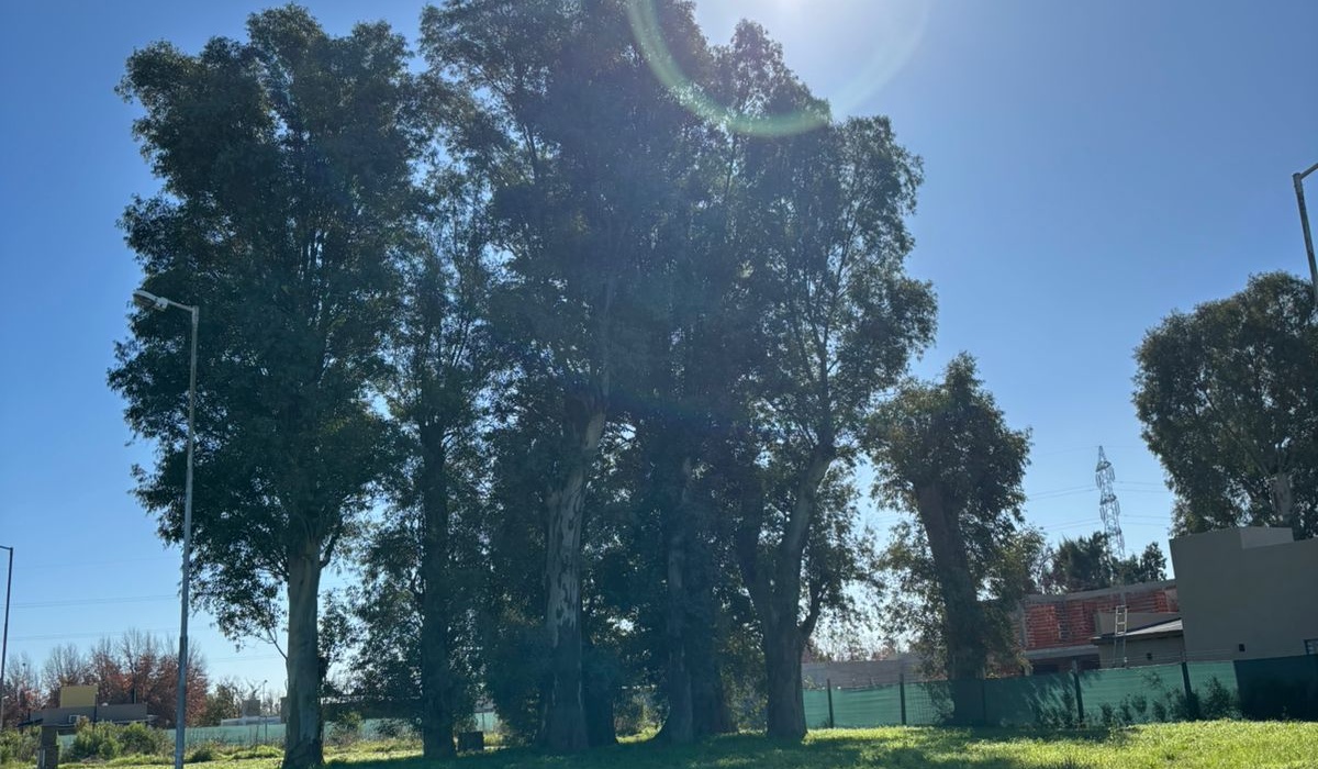 Luján, Buenos Aires, ,Lote,En Venta,1494