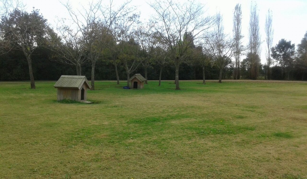 Luján, Buenos Aires, 4 Habitaciones Habitaciones,4 BathroomsBanos,Casa Quinta,En Venta,1495